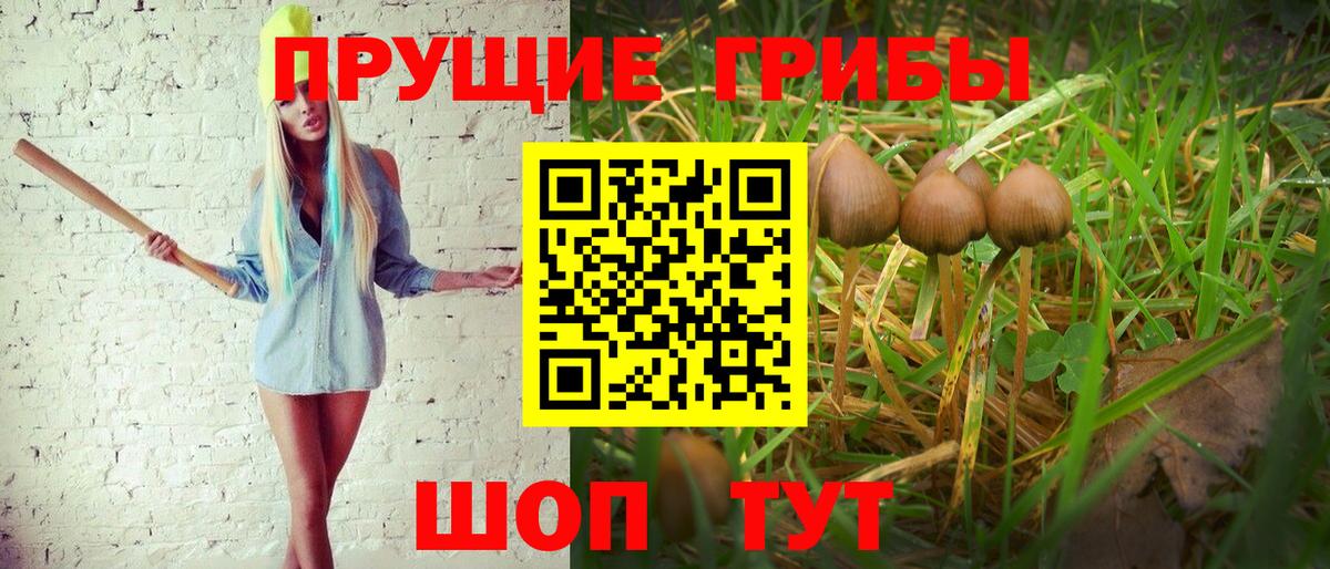 Псилоцибиновые грибы MAGIC MUSHROOMS Сургут