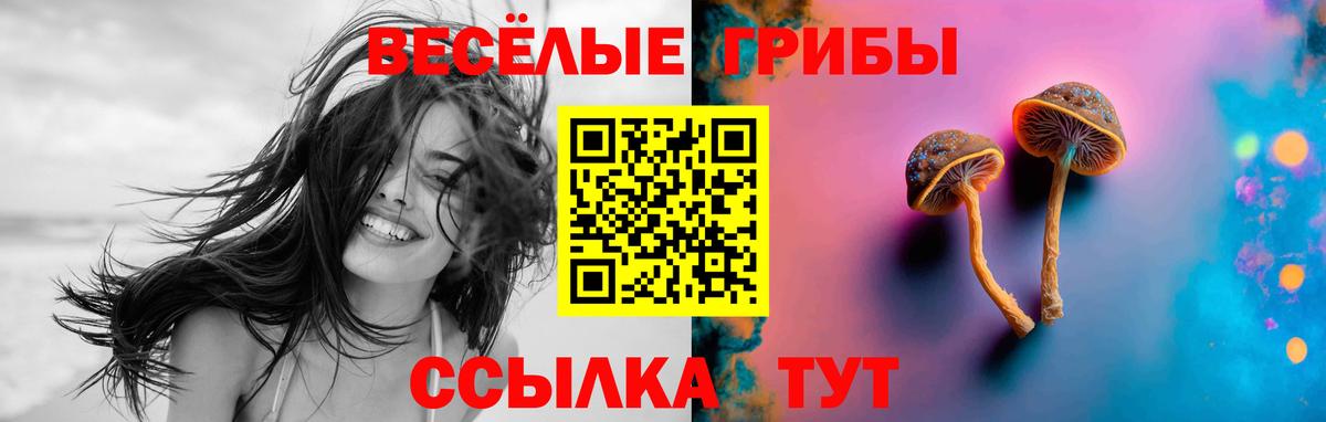 Псилоцибиновые грибы мицелий  Псилоцибиновые грибы мухоморы  Сургут  Вход с VPN 